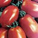 Un vero boom l'import del pomodoro cinese
