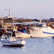 Noi, piccoli pescatori senza forze e speranze