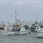 Le marinerie siciliane riprendono l’attività di pesca