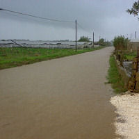 Strade, recepite proteste del comitato agricoltori