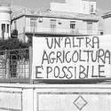 In piazza per difendere l'agricoltura