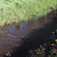 «Acque maleodoranti nel canale di gronda»