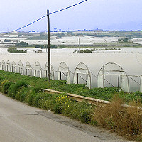 Colpo grosso in azienda