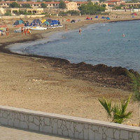 La posidonia ostacola i bagnanti