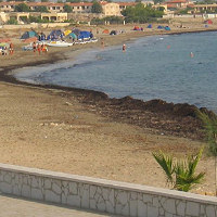 In fuga dalla spiaggia per le alghe