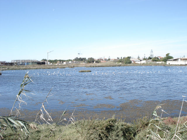 Il pantano di Marzamemi