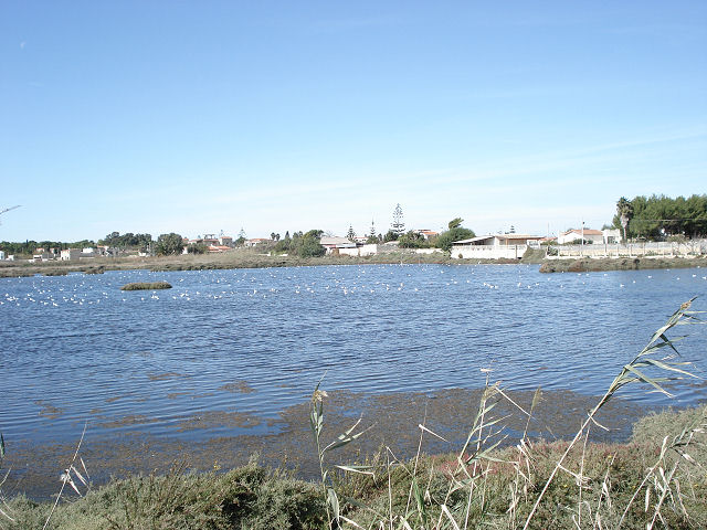 Il pantano di Marzamemi