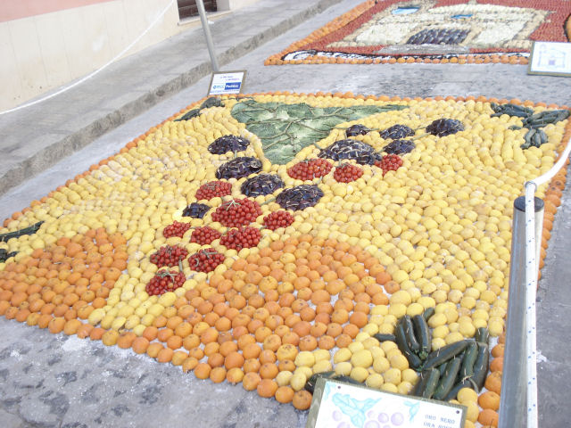 Inverdurata 2007 - Concorso di mosaici vegetali