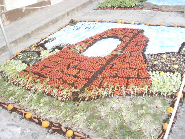 Inverdurata 2007 - Concorso di mosaici vegetali