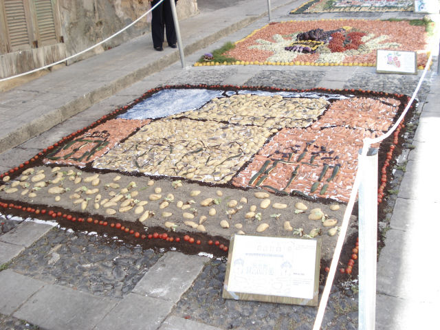 Inverdurata 2007 - Concorso di mosaici vegetali