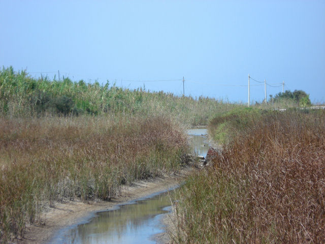 Contrada Concerie - Il Pantano Baronello