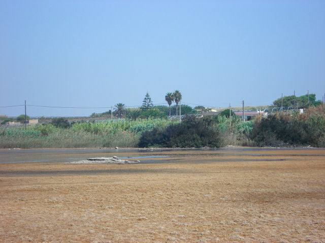 Contrada Concerie - Il Pantano Baronello