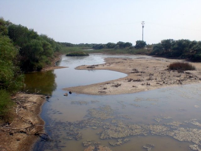 Pantano cannone Forgia