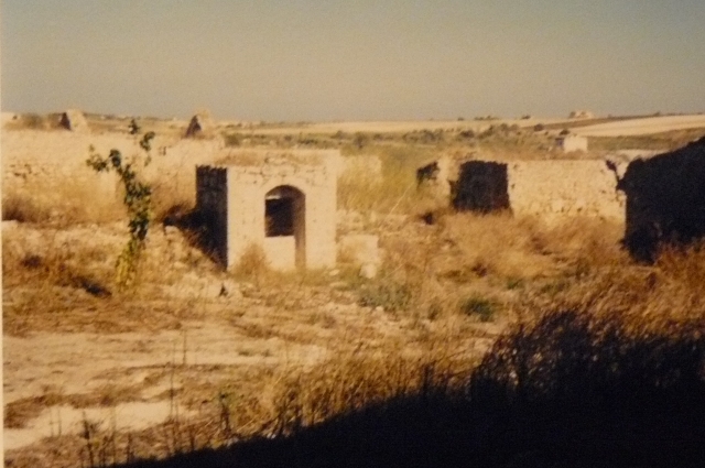 Pachino Promontorio campagna