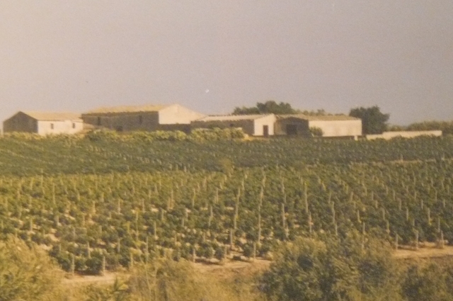 Pachino Promontorio campagna