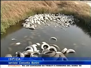 Pantano Longarini finalmente pulito