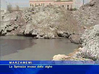  Marzamemi - La Spinazza invasa dalle alghe