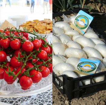 Pomodoro di Pachino in Puglia per due giornate dedicate a Dop e Igp